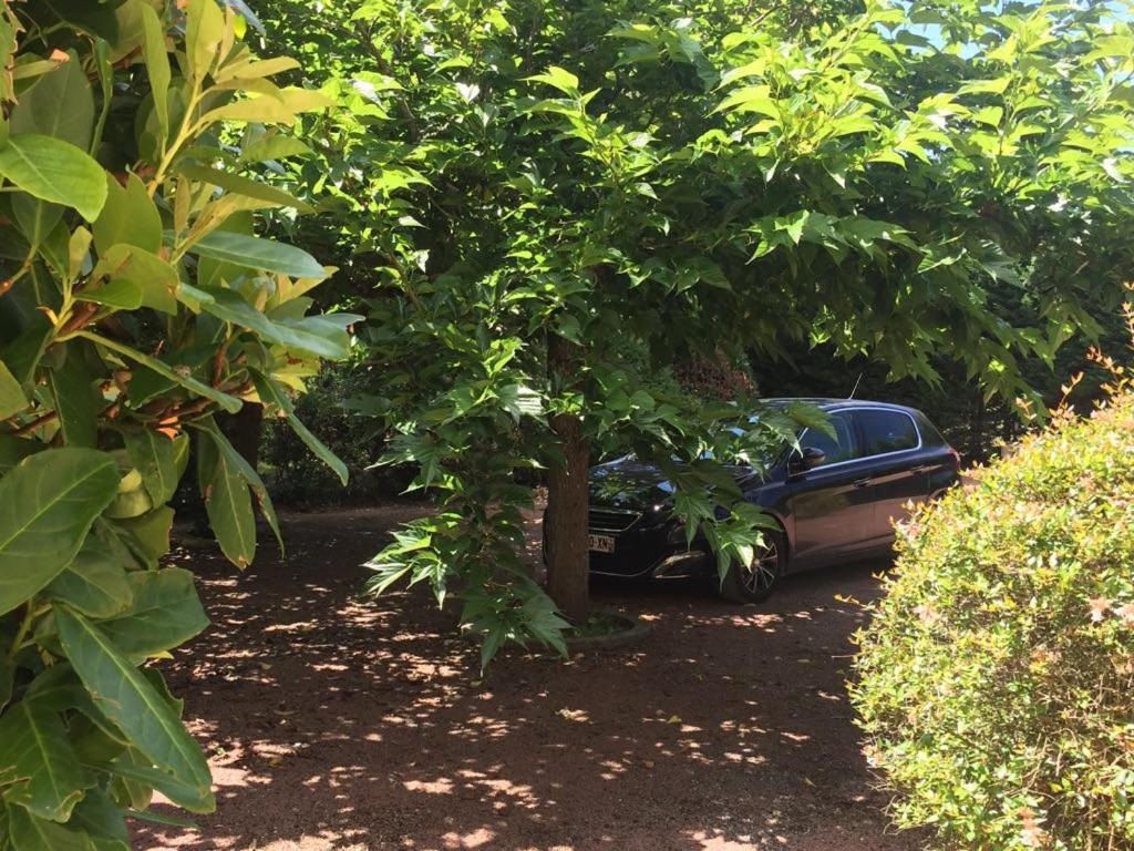 Gite Le Domaine Aubazen La Chapelle-Aubareil Exteriör bild